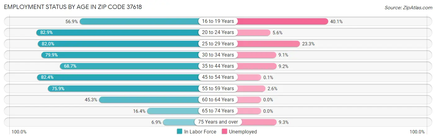 Employment Status by Age in Zip Code 37618