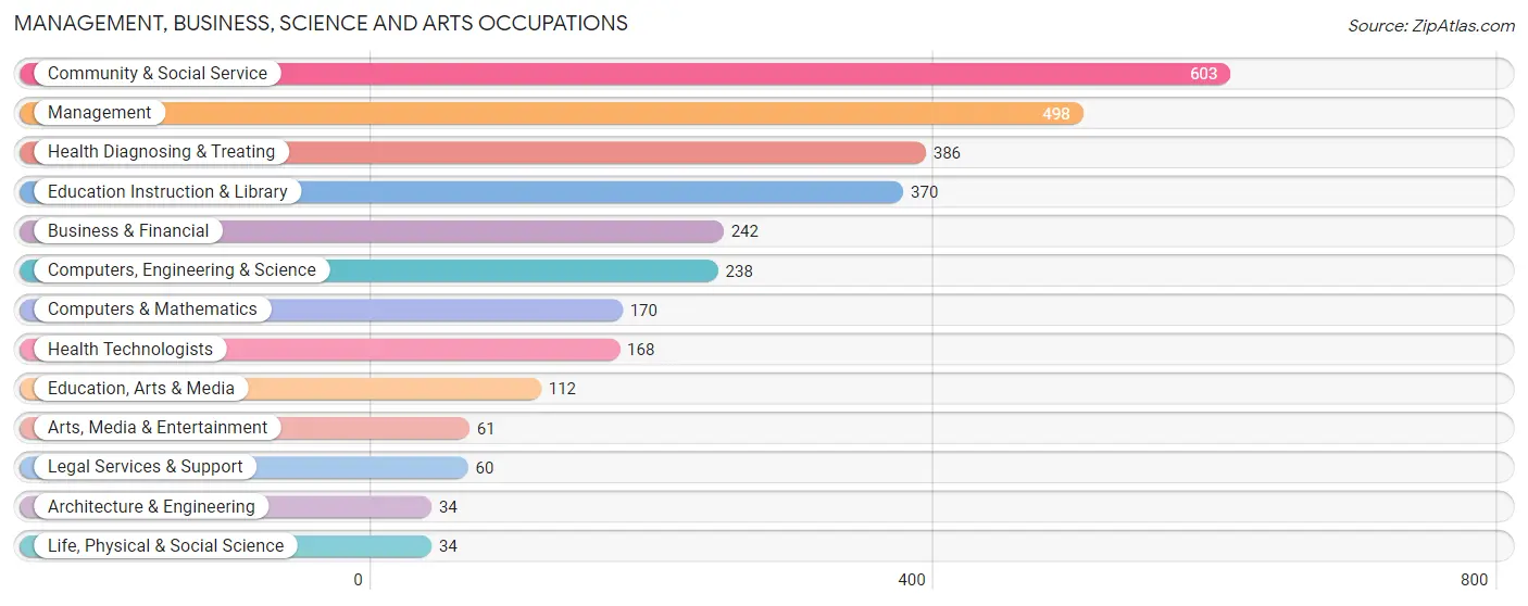 Management, Business, Science and Arts Occupations in Zip Code 37642