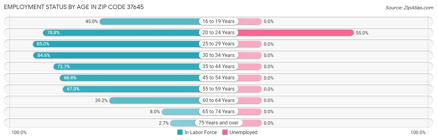 Employment Status by Age in Zip Code 37645