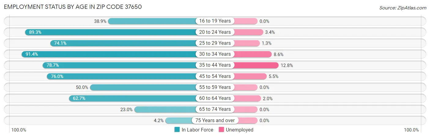 Employment Status by Age in Zip Code 37650