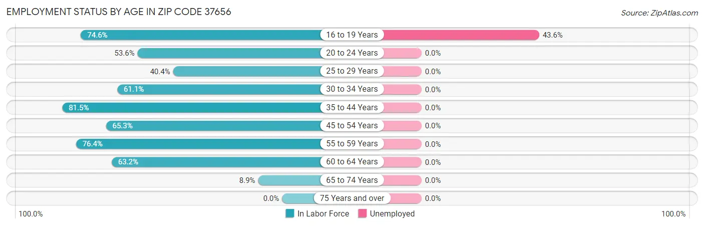 Employment Status by Age in Zip Code 37656