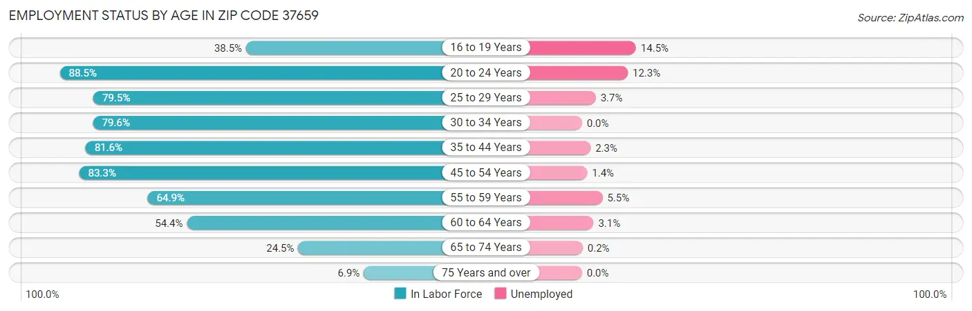 Employment Status by Age in Zip Code 37659