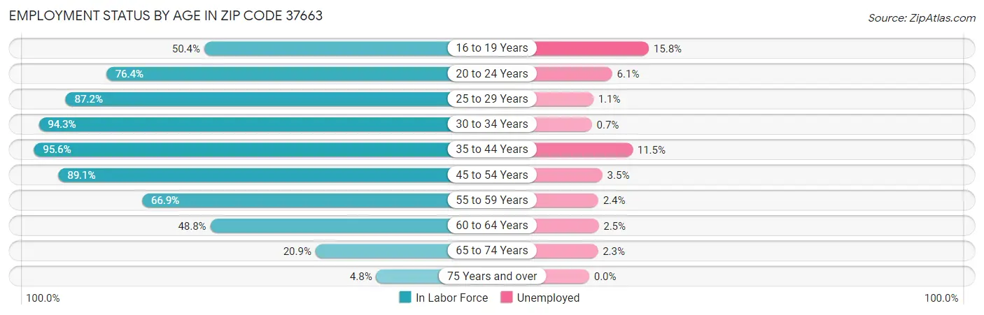 Employment Status by Age in Zip Code 37663