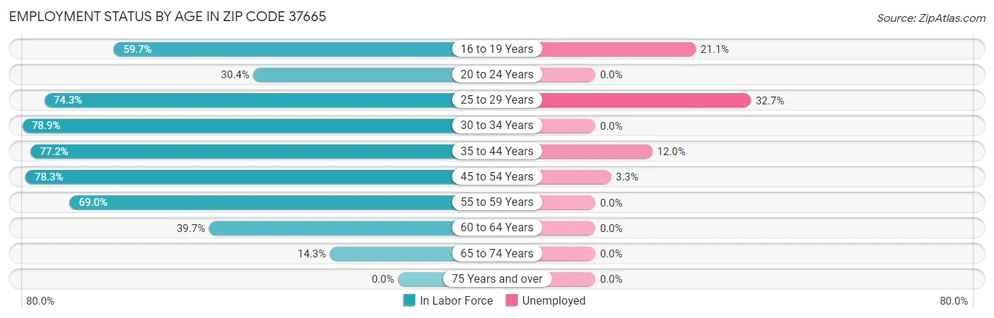 Employment Status by Age in Zip Code 37665
