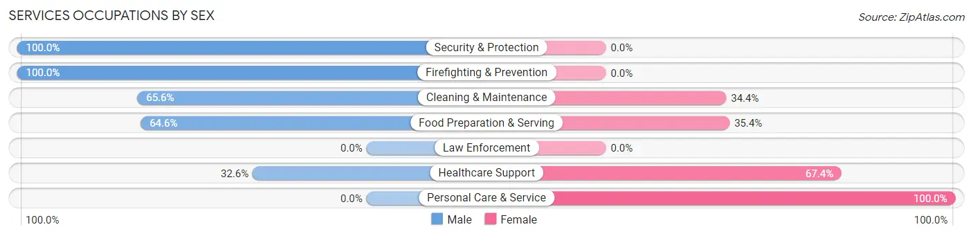Services Occupations by Sex in Zip Code 37665