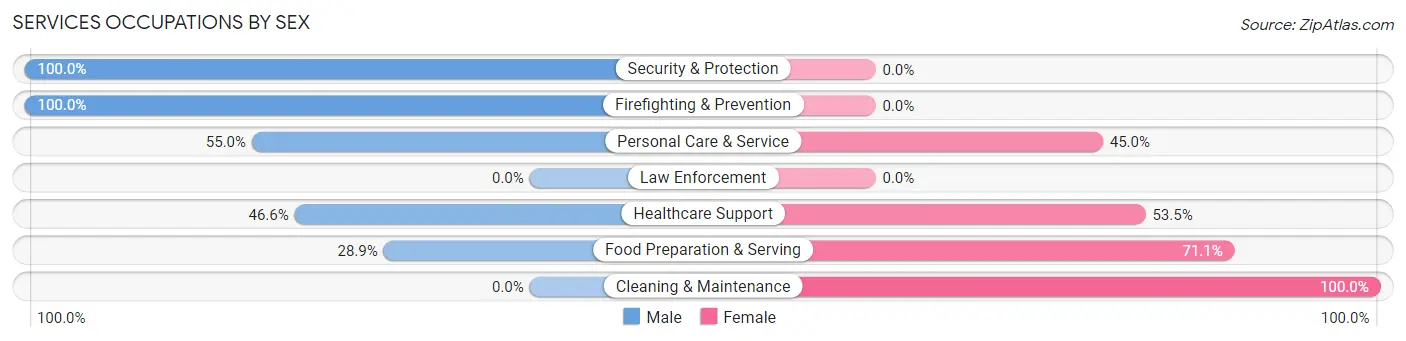 Services Occupations by Sex in Zip Code 37681