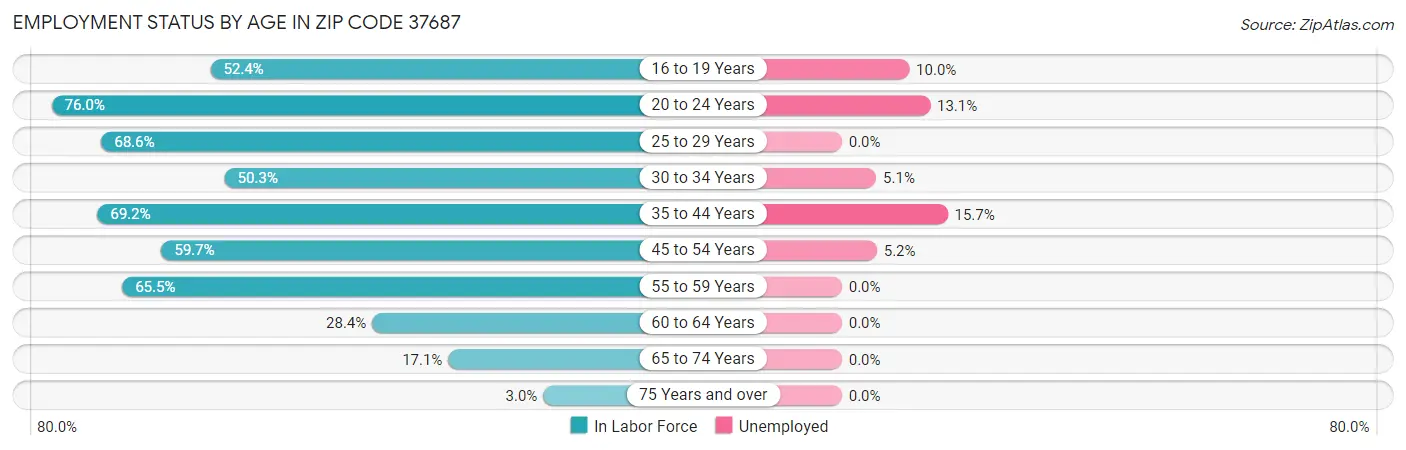 Employment Status by Age in Zip Code 37687