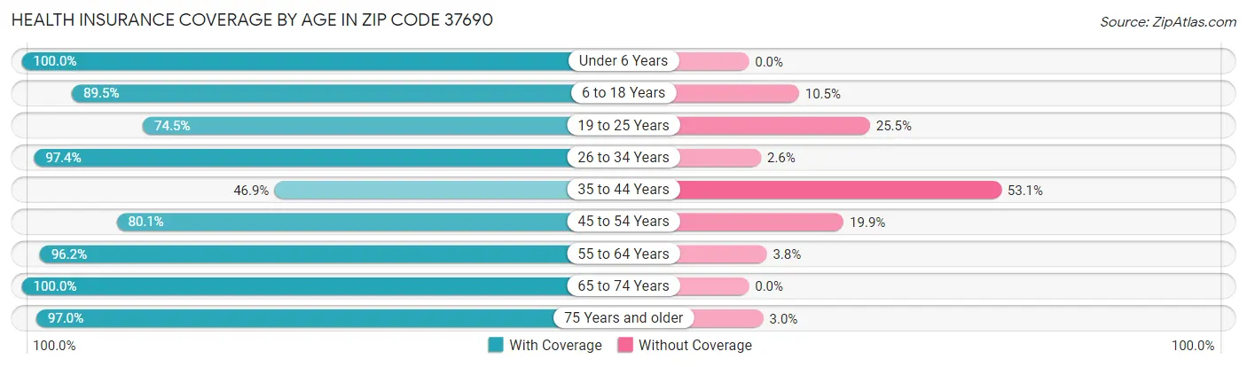 Health Insurance Coverage by Age in Zip Code 37690