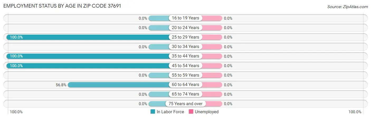 Employment Status by Age in Zip Code 37691