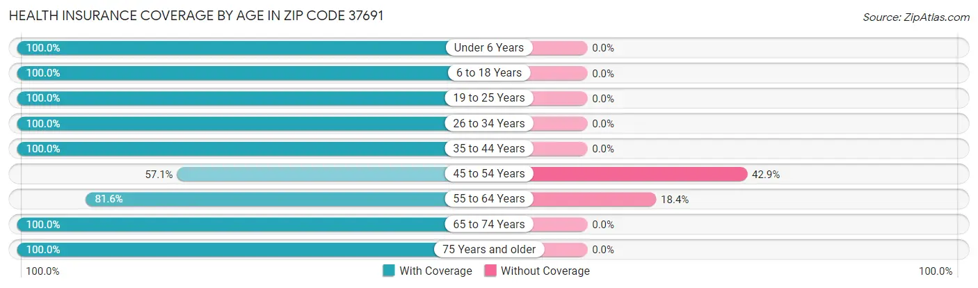 Health Insurance Coverage by Age in Zip Code 37691