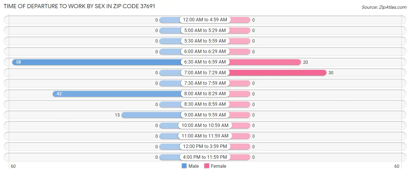 Time of Departure to Work by Sex in Zip Code 37691