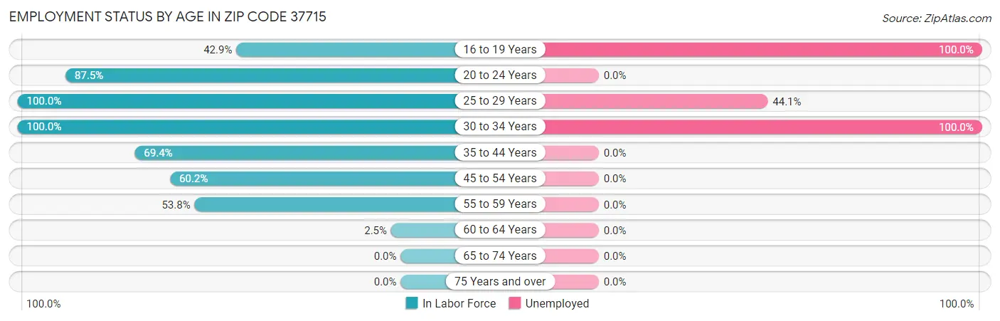 Employment Status by Age in Zip Code 37715