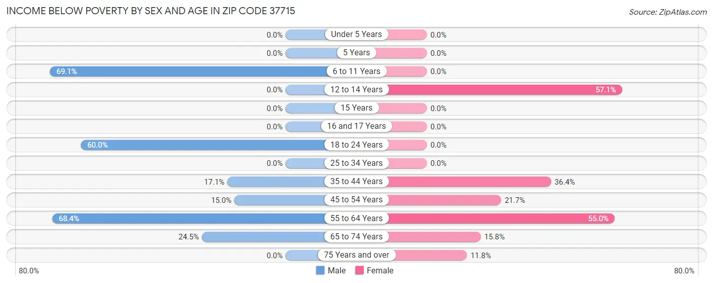 Income Below Poverty by Sex and Age in Zip Code 37715