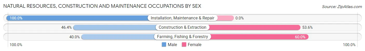 Natural Resources, Construction and Maintenance Occupations by Sex in Zip Code 37723