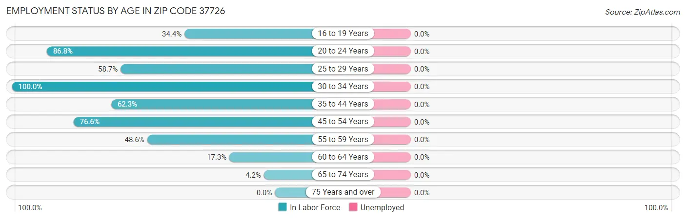 Employment Status by Age in Zip Code 37726