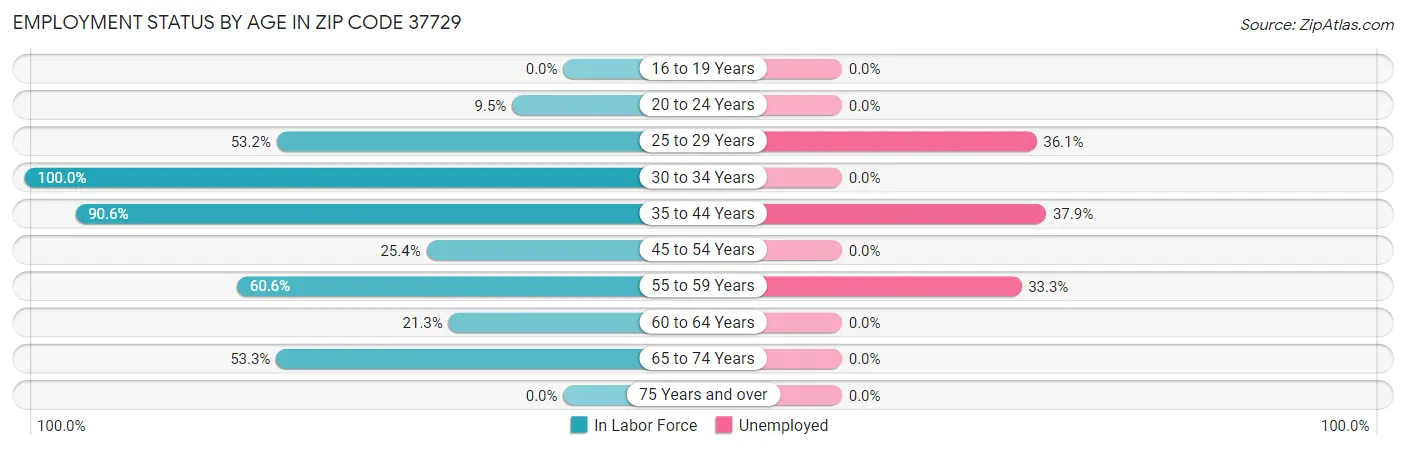 Employment Status by Age in Zip Code 37729