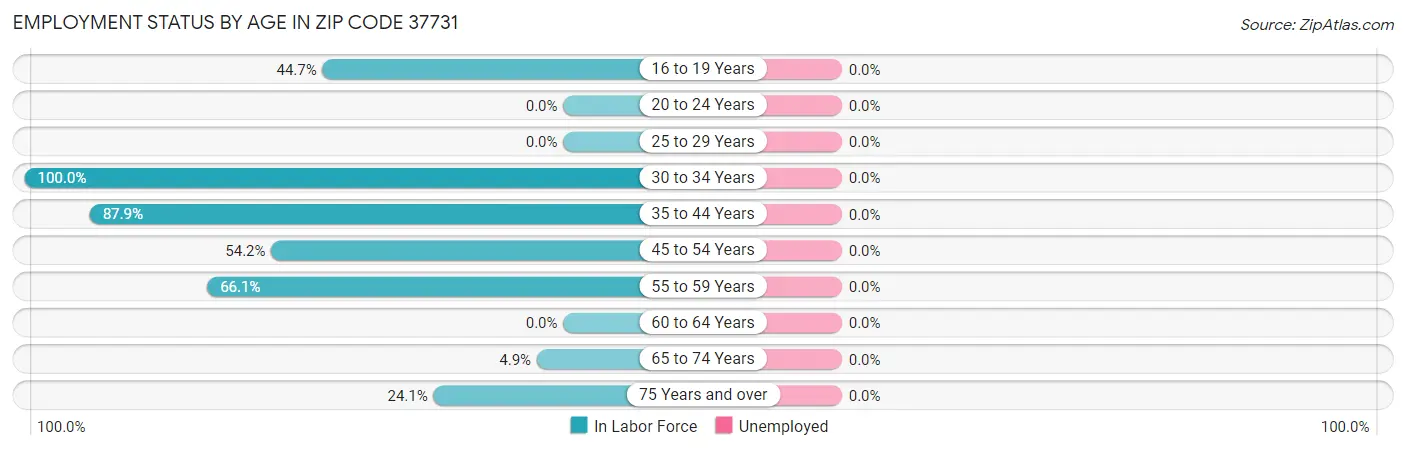 Employment Status by Age in Zip Code 37731