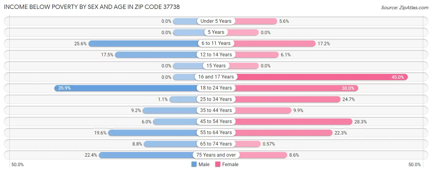Income Below Poverty by Sex and Age in Zip Code 37738