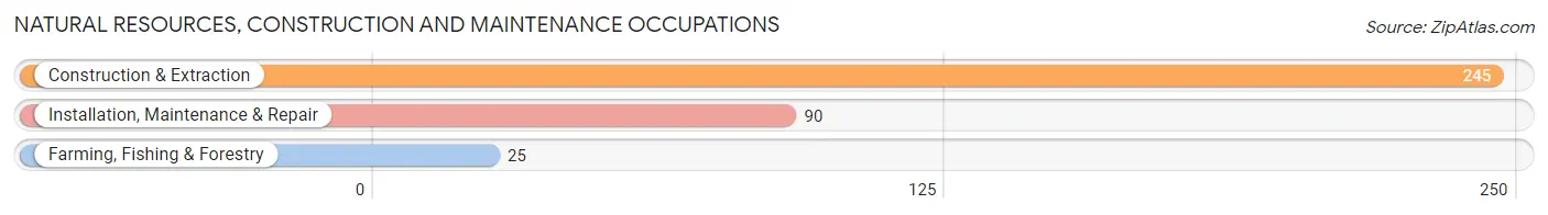 Natural Resources, Construction and Maintenance Occupations in Zip Code 37752