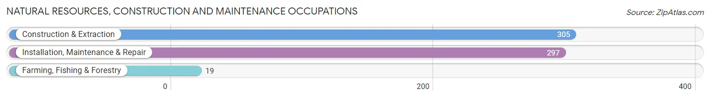 Natural Resources, Construction and Maintenance Occupations in Zip Code 37763