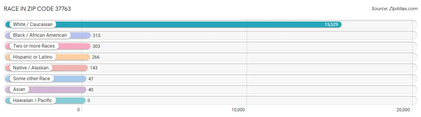Race in Zip Code 37763