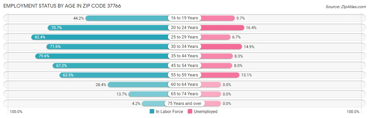 Employment Status by Age in Zip Code 37766