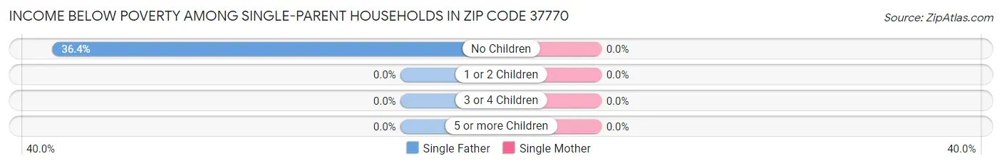 Income Below Poverty Among Single-Parent Households in Zip Code 37770