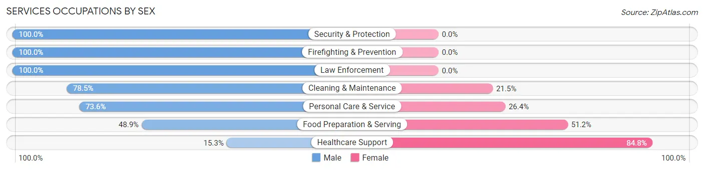 Services Occupations by Sex in Zip Code 37777