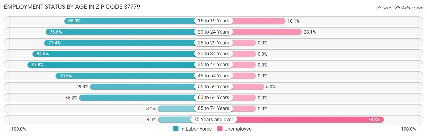 Employment Status by Age in Zip Code 37779