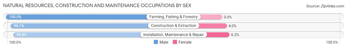 Natural Resources, Construction and Maintenance Occupations by Sex in Zip Code 37803