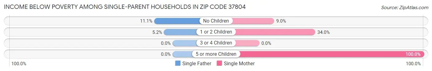 Income Below Poverty Among Single-Parent Households in Zip Code 37804