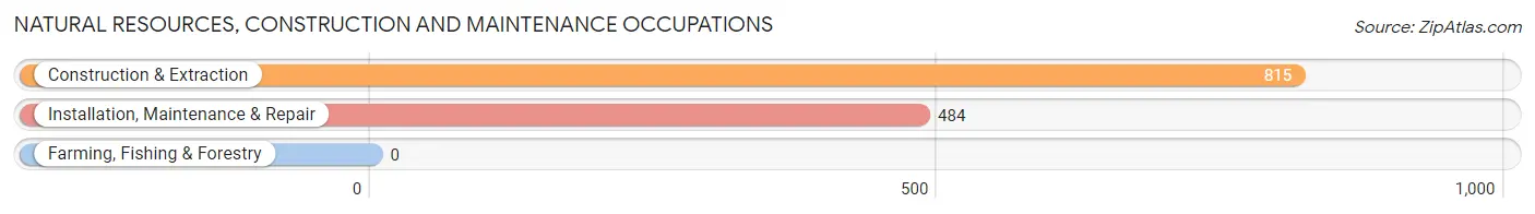 Natural Resources, Construction and Maintenance Occupations in Zip Code 37804