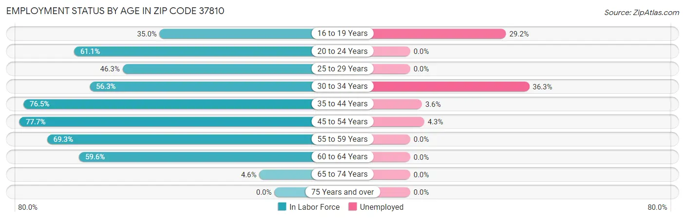 Employment Status by Age in Zip Code 37810