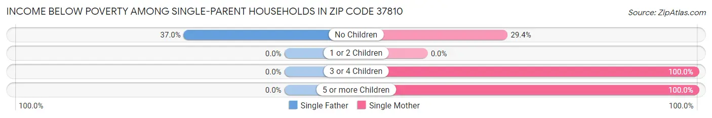 Income Below Poverty Among Single-Parent Households in Zip Code 37810