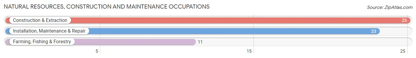 Natural Resources, Construction and Maintenance Occupations in Zip Code 37810