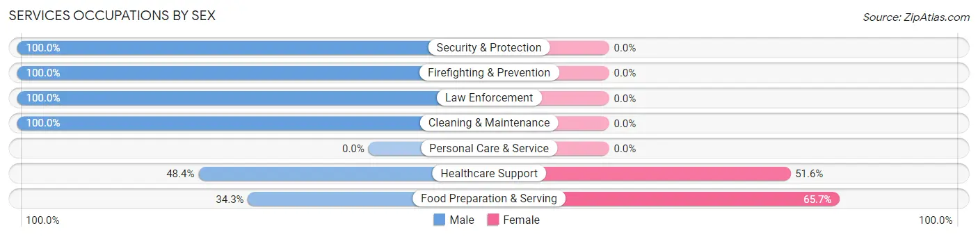 Services Occupations by Sex in Zip Code 37810