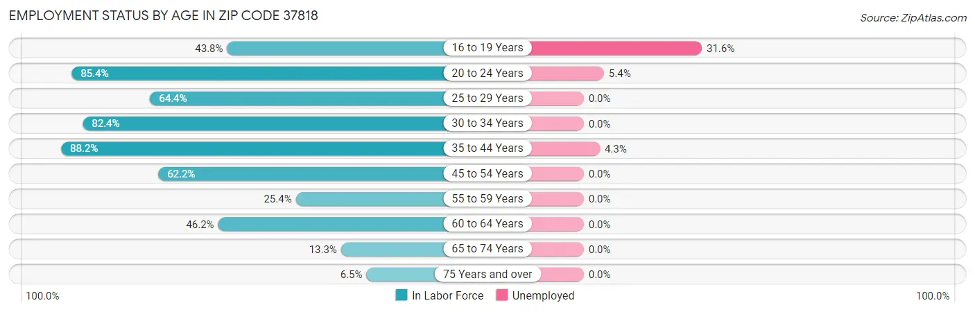 Employment Status by Age in Zip Code 37818