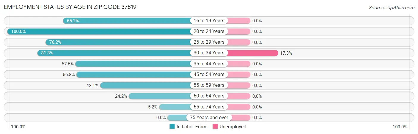 Employment Status by Age in Zip Code 37819