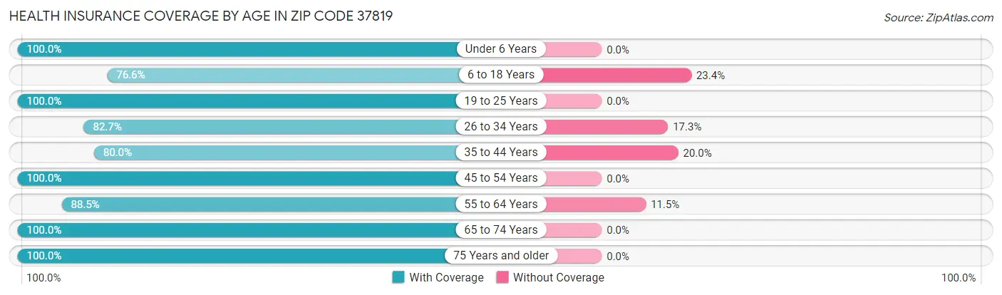 Health Insurance Coverage by Age in Zip Code 37819