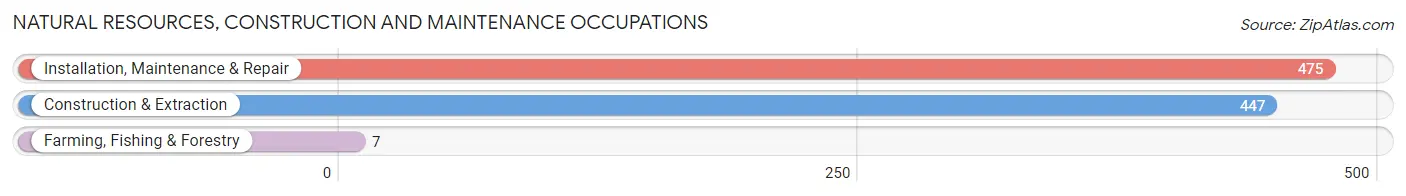 Natural Resources, Construction and Maintenance Occupations in Zip Code 37821