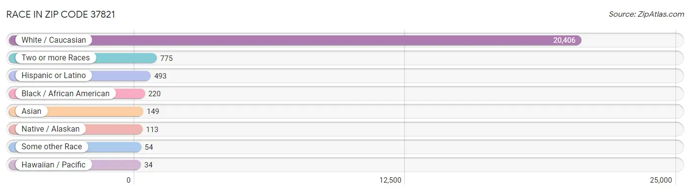 Race in Zip Code 37821