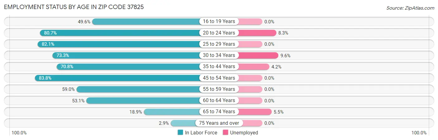 Employment Status by Age in Zip Code 37825