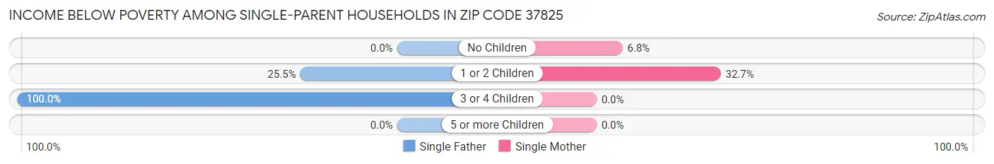 Income Below Poverty Among Single-Parent Households in Zip Code 37825