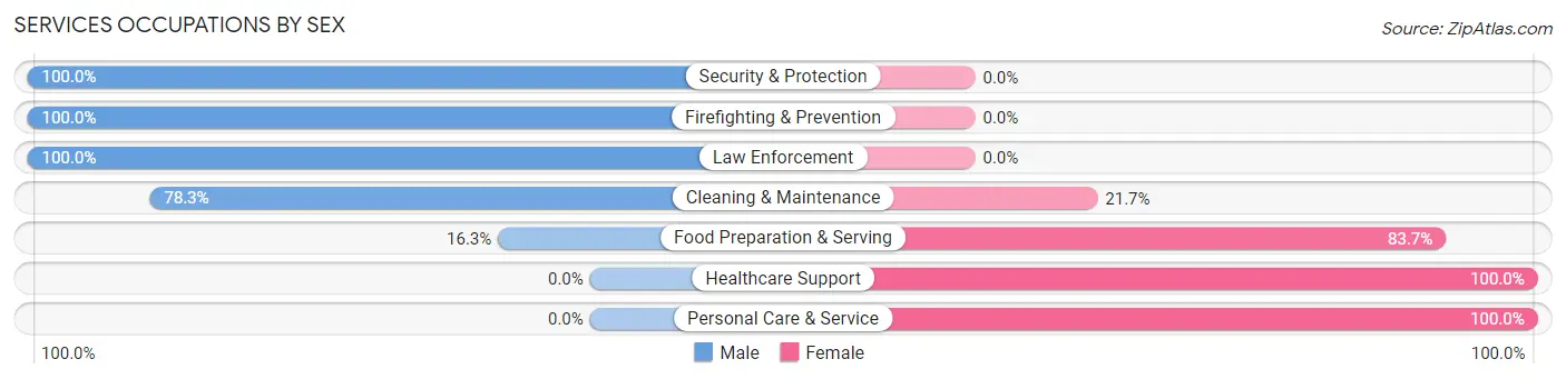 Services Occupations by Sex in Zip Code 37826
