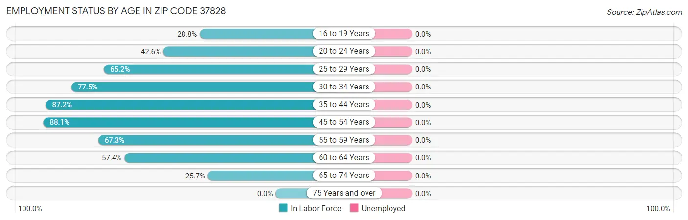 Employment Status by Age in Zip Code 37828