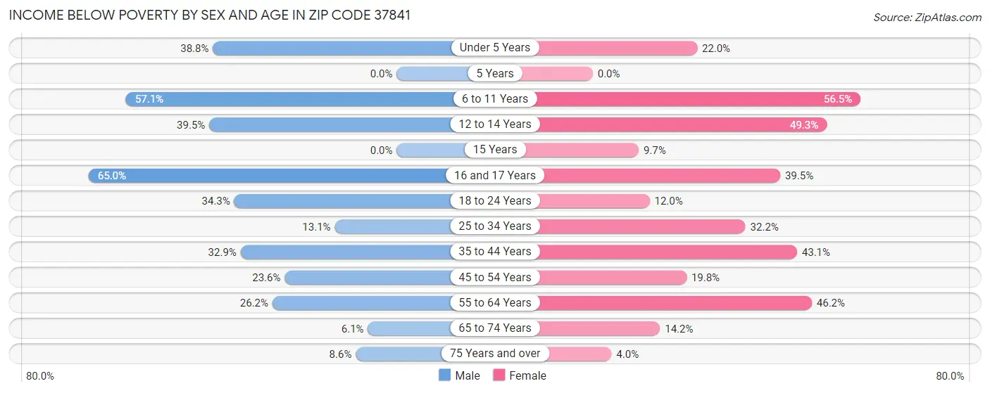 Income Below Poverty by Sex and Age in Zip Code 37841