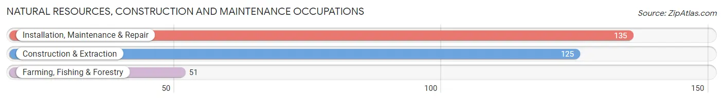 Natural Resources, Construction and Maintenance Occupations in Zip Code 37841