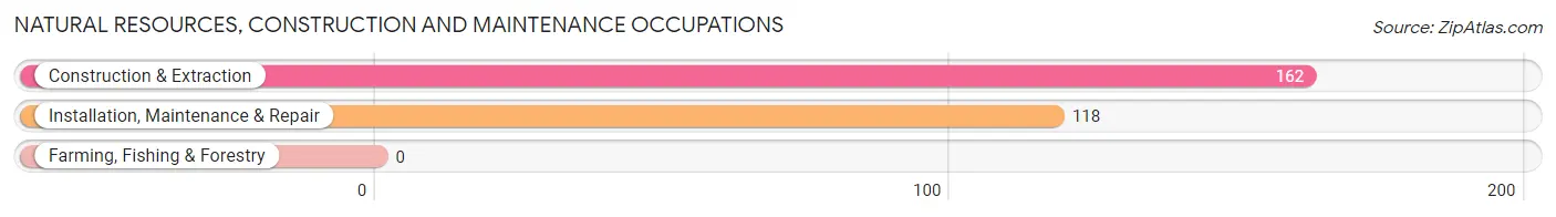 Natural Resources, Construction and Maintenance Occupations in Zip Code 37846