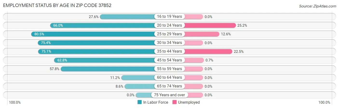 Employment Status by Age in Zip Code 37852