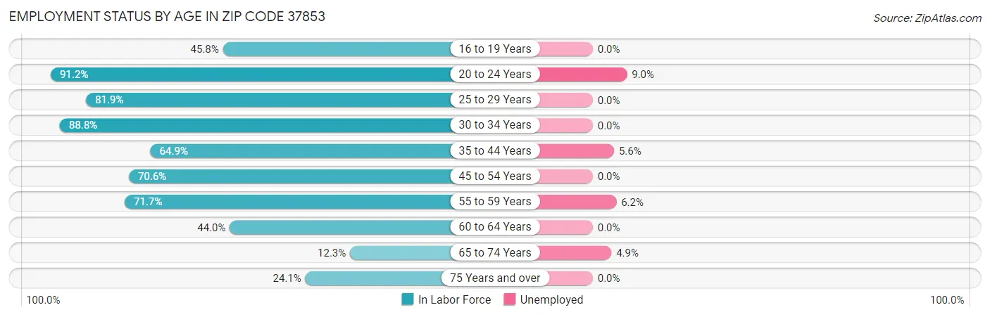 Employment Status by Age in Zip Code 37853